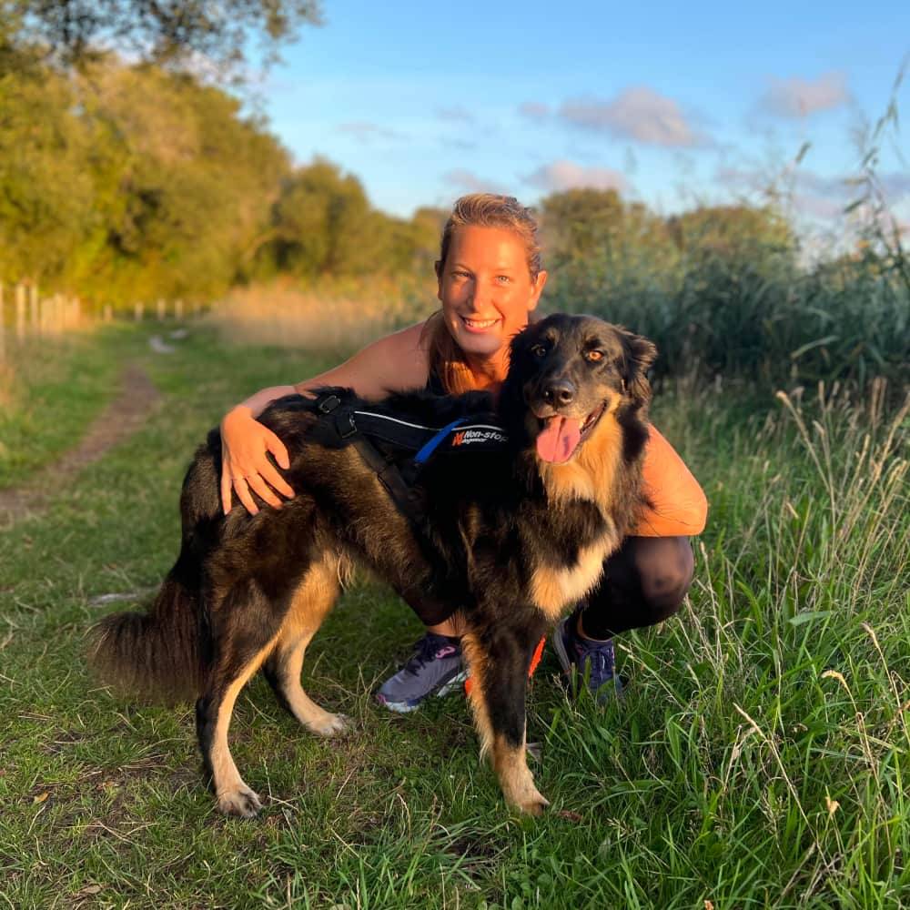 Education canine entre Morbihan et Loire Atlantique